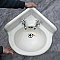 Antique Cast Iron Corner Sink