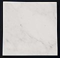 12" x 12" Honed Marble Field Tile - Statuary White