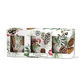Michel Design Works Votive Gift Set - White Spruce