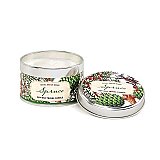Michel Design Works Spruce Travel Tin Candle