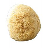Sea Wool Sponge 5-6 Inch Cut