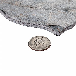 Andorra Gris 10-3/8" x 18-3/4" Ceramic Wall Tile - 8 Tiles Per Case - 10.88 Sq. Ft.