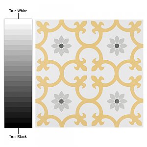 Daria Dandelion 9-3/4" x 9-3/4"  Porcelain Floor & Wall Tile - 16 Tiles Per Case - 10.88 Sq. Ft.