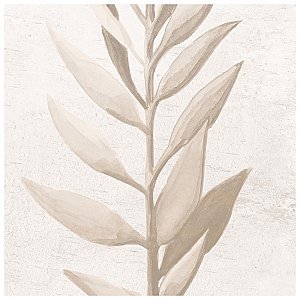 Nusa Botanic Taupe 9-3/4" x 9-3/4" Porcelain Floor & Wall Tile - 16 Tiles Per Case - 10.88 Sq. Ft.