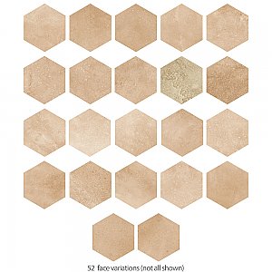Aspdin Hex Cotto 8-5/8" x 9-7/8" Porcelain Floor and Wall Tile - 25 Tiles Per Case - 11.5 Square Feet