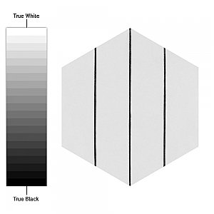 Porto Savona Hex Black 8-5/8" x 9-7/8" Porcelain Floor & Wall Tile - 25 Tiles Per Case - 11.5 Sq. Ft.