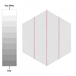 Porto Savona Hex Rose 8-5/8" x 9-7/8" Porcelain Floor & Wall Tile - 25 Tiles Per Case - 11.5 Sq. Ft.