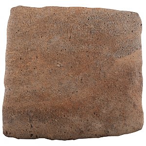 Benisa Cotto 5-7/8" x 5-7/8" Porcelain Floor/Wall Tile - 36 Tiles Per Case - 9.36 Square Feet