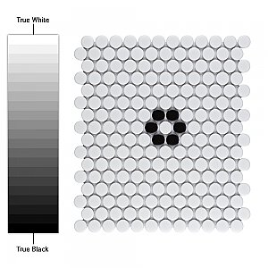 Metro Penny Matte 11-1/2" x 9-3/4" White with Black Flower Porcelain Mosaic Tile - Sold Per Case of 10 - 7.97 Square Feet