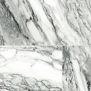 Touche Zebre 11-3/4" x 23-1/2" Porcelain Floor and Wall Tile - 6 Tiles Per Case - 11.58 Square Feet