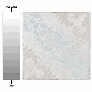Barcelona Decor Sarria 5-3/4" x 5-3/4" Porcelain Tile - Sold Per Case of 44 - 10.77 Square Feet