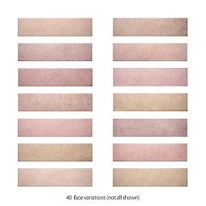 Heritage Rose 2-3/8" x 9-5/8" Porcelain Floor and Wall Tile - 34 Tiles Per Case - 5.78 Square Feet