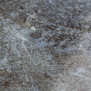 Ocean Coral Bay 6" x 6" Porcelain Floor & Wall Tile -32 Tiles Per Case - 8.32 Sq. Ft.