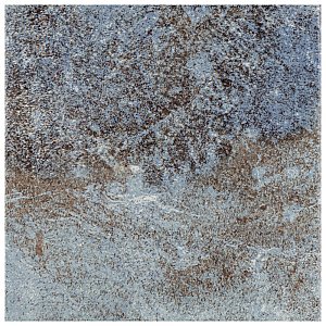 Ocean Coral Bay 6" x 6" Porcelain Floor & Wall Tile -32 Tiles Per Case - 8.32 Sq. Ft.