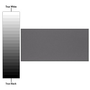 BioTech Piscina Brick Dark Grey Matte 4-3/4" x 9-5/8" Porcelain Floor and Wall Tile - Per Case of 34 - 11.44 Sq. Ft.