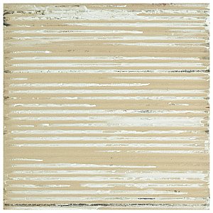 D'Anticatto Decor Florence 8-3/4" x 8-3/4" Porcelain Tile - Per Case of 20 - 11.25 Square Feet
