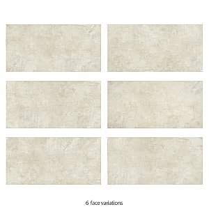 Pictura Veleia 23-1/2" x 47" Porcelain Floor and Wall Tile - 3 Tiles Per Case - 23.1 Square Feet