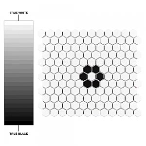 Metro 1" Hex Matte White Single Flower 11 7/8" x 10 1/4" Porcelain Mosaic Tile - Sold Per Case of 10 - 8.65 Square Feet