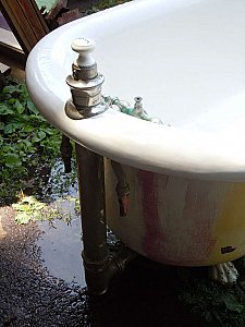Antique Rare Wolff Bathtub