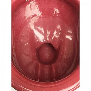 Vintage Standard "Red Tang" One Piece Toilet