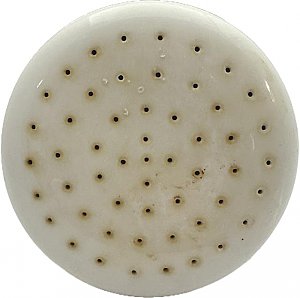 Antique White Porcelain Shower Head - Circa 1920