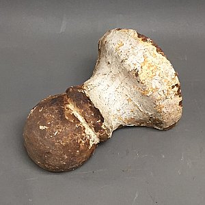 Antique Cast Iron Bathtub Claw Foot - Circa 1900