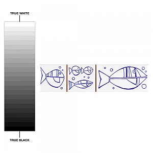 Captain Aquatico White 2" x 7-7/8" Ceramic Wall Trim Tile - Sold by the individual piece