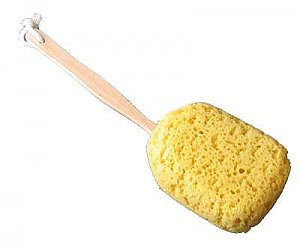 Natural Sponge on Stick