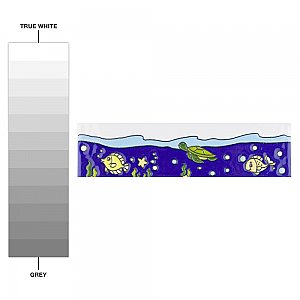 Captain Fishie 2" x 7-7/8" Ceramic Wall Trim Tile - Sold by the individual piece