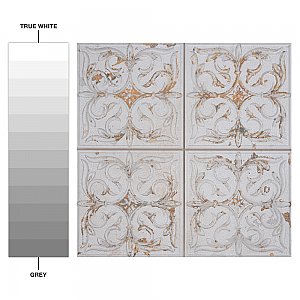 Antigua Lis White 13" x 13" Porcelain Wall Tile - Sold Per Case of 9 - 10.62 Sq. Ft.