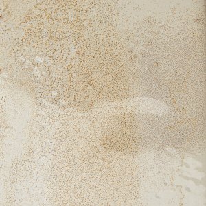 Luca Shell 3-1/8" x 12-3/8" Ceramic Wall Tile - 25 Tiles Per Case - 7.0 Square Feet