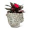 Medium Kissing Face Concrete Planter