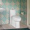 American Standard Boulevard® One-Piece Dual Flush 1.6 gpf/6.0 Lpf and 1.1 gpf/4.2 Lpf Chair Height Elongated Toilet With Seat