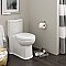 American Standard Boulevard® One-Piece Dual Flush 1.6 gpf/6.0 Lpf and 1.1 gpf/4.2 Lpf Chair Height Elongated Toilet With Seat