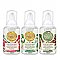 Michel Design Works Winter Scents Mini Foaming Hand Soap Set