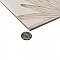 Nusa Botanic Taupe 9-3/4" x 9-3/4" Porcelain Floor & Wall Tile - 16 Tiles Per Case - 10.88 Sq. Ft.