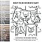 Oh My Dog 9-3/4" x  9-3/4" Porcelain Floor/Wall Tile - 16 Tiles Per Case - 10.88 Sq. Ft.
