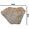 Montesa Marron 8" x 12" Porcelain Floor/Wall Tile - 18 Tiles Per Case - 11.88 Square Feet