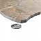 Montesa Marron 8" x 12" Porcelain Floor/Wall Tile - 18 Tiles Per Case - 11.88 Square Feet
