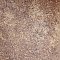 Costa Marron 7-3/4" x 7-3/4" Ceramic Floor & Wall Tile - 25 Tiles Per Case - 10.75 Sq. Ft.