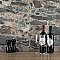 Rambla Mica 14-5/8" x 22-3/4" Porcelain Floor & Wall Tile - 6 Tiles Per Case - 14.04 Sq. Ft.