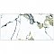 Touche Jade 11-3/4" x 23-1/2" Porcelain Floor and Wall Tile - 6 Tiles Per Case - 11.58 Square Feet