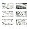 Touche Zebre 11-3/4" x 23-1/2" Porcelain Floor and Wall Tile - 6 Tiles Per Case - 11.58 Square Feet