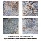 BioTech Ocean Coral Bay Matte 12" x 12" Porcelain Floor & Wall Tile - 11 Tiles Per Case - 11.22 Sq. Ft.