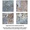 BioTech Ocean Coral Bay Matte 6" x 6" Porcelain Floor & Wall Tile - 32 Tiles Per Case - 8.32 Sq. Ft.