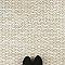 Pescado Glossy Crema 12"x 12-1/2" Porcelain Tile - Per Sheet - 1.06 Sq. Ft.
