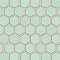 Hudson Due 2" Hex Light Green 10-7/8" x 12-5/8" Porcelain Mosaic Tile -10 Sheets Per Case -9.7 Sq. Ft.
