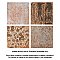 True 7-3/4" x 7-3/4" Ceramic Floor & Wall Tile - 25 Tiles Per Case - 10.75 Sq. Ft.