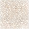Farnese Amalfi Crema 11-1/2" x 11-1/2" Porcelain Floor & Wall Tile - 11 Tiles Per Case - 10.34 Sq. Ft.