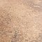 Tech Land Star Fire/Cross Fire 6" x 12" Porcelain Floor & Wall Tile - 1 Tiles Per Case - 0.57 Sq. Ft.